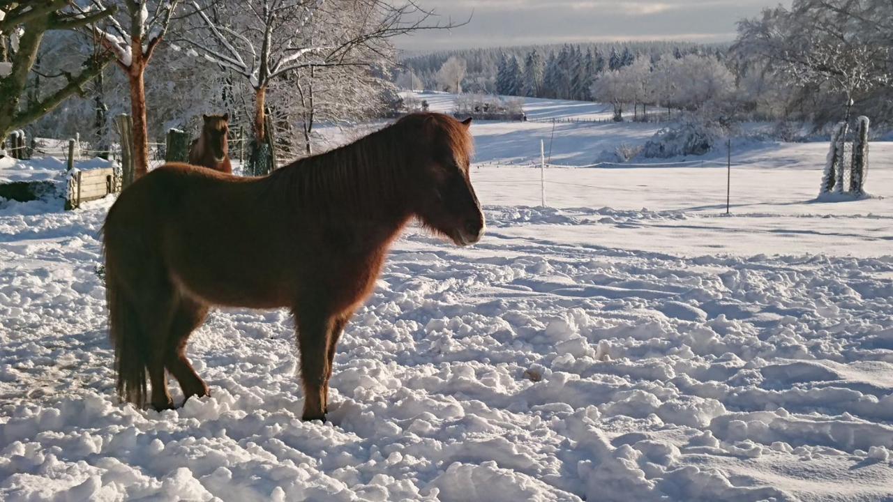 Im Schwedenhaus Unsere Kleine Farm Monschau