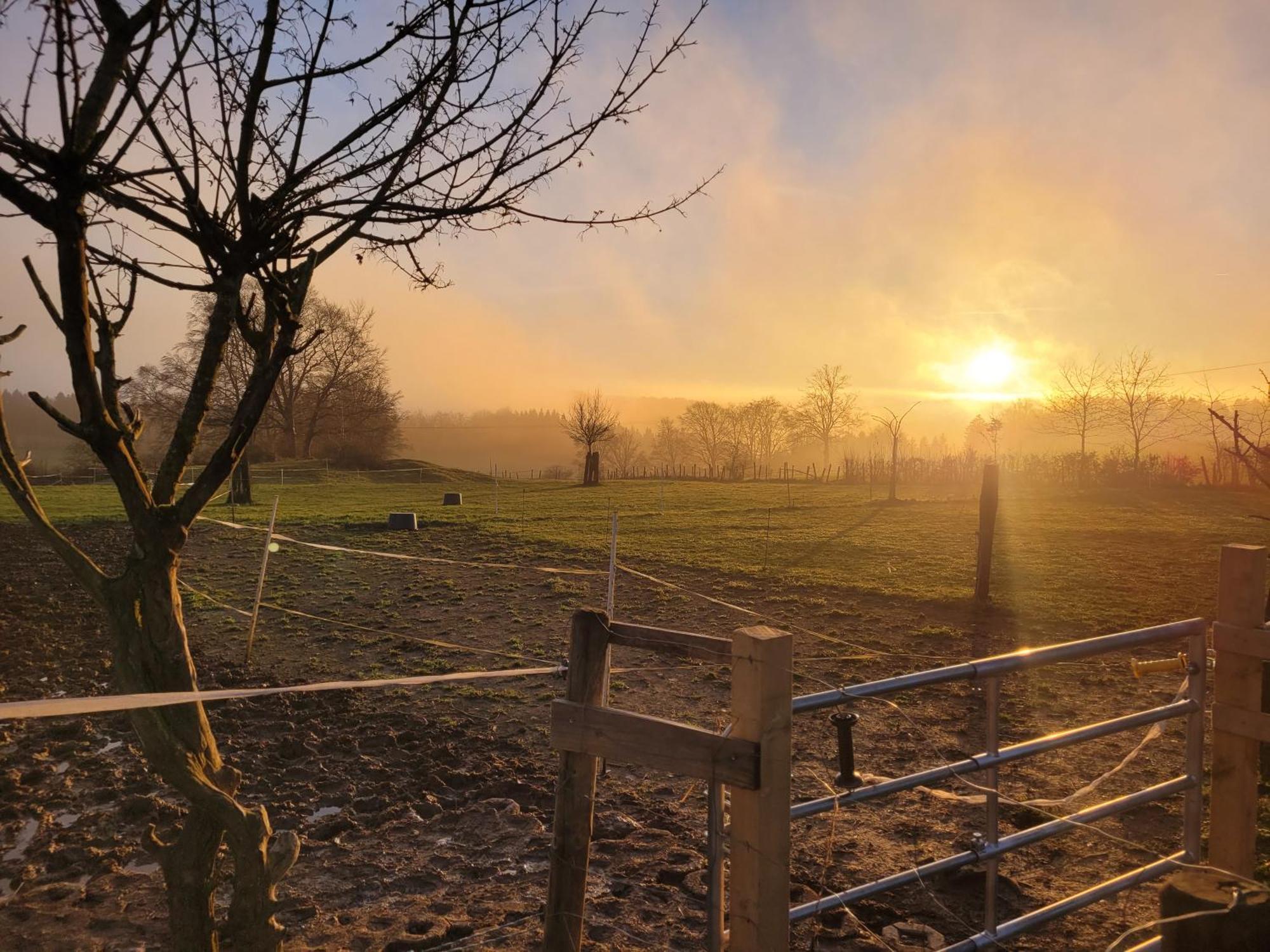 Im Schwedenhaus Unsere Kleine Farm